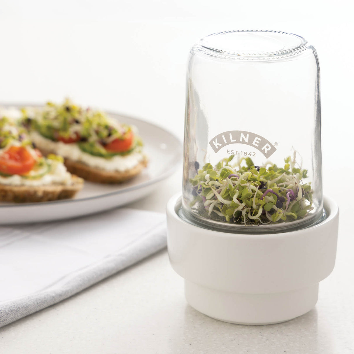 Sprossenglas Set 0,5 l