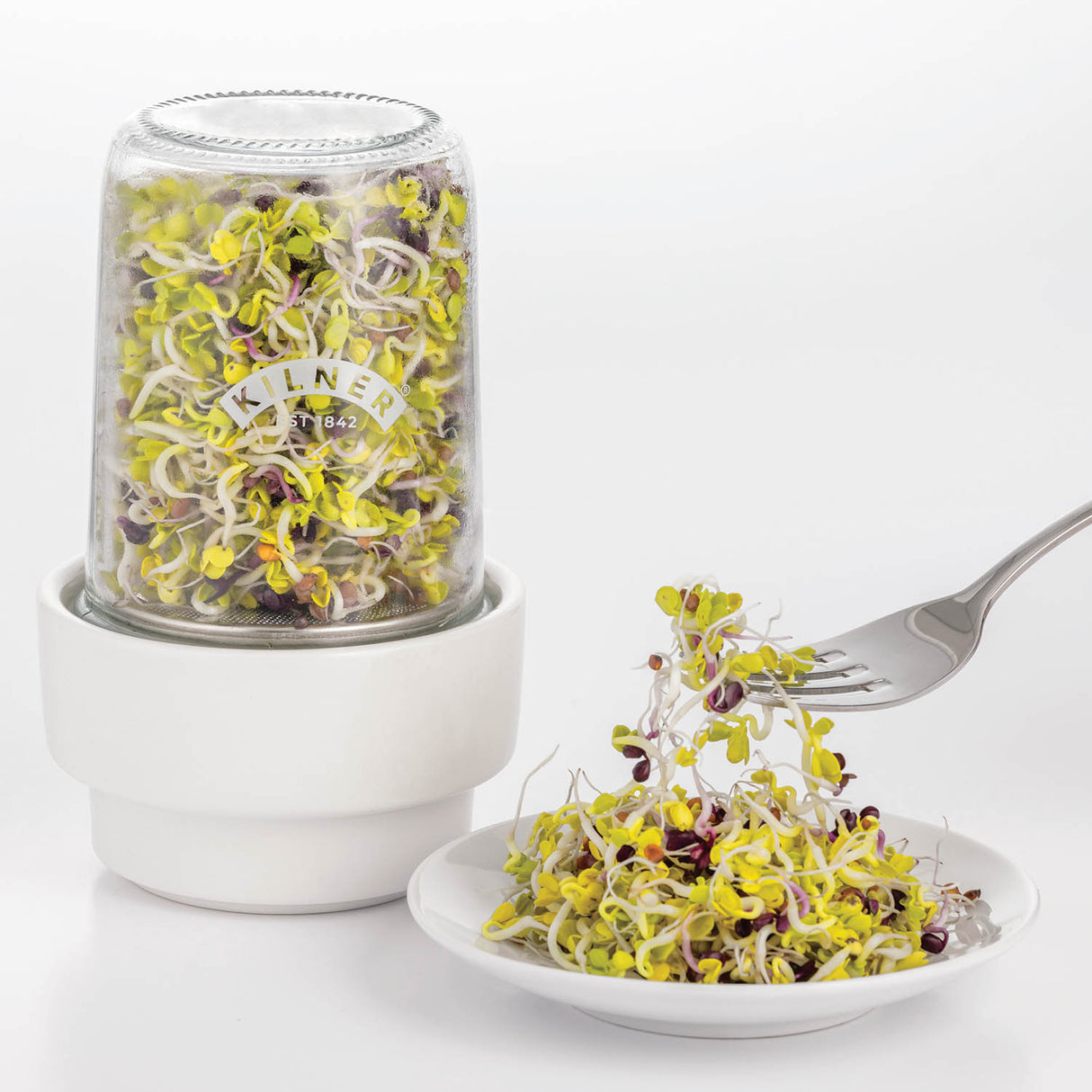 Sprossenglas Set 0,5 l