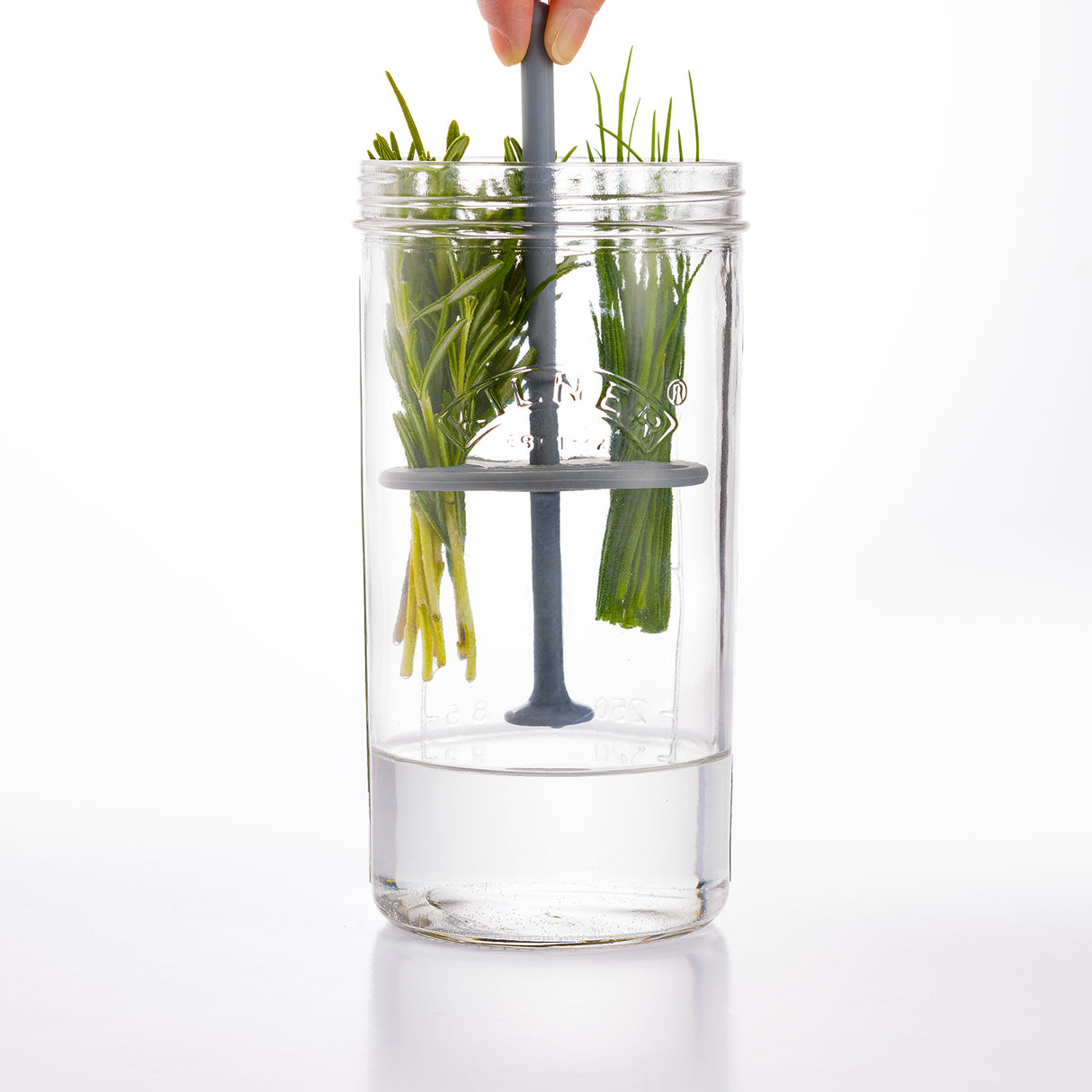 KILNER | Kräuter-Frischhalteglas, HERBS, klar, 1 L