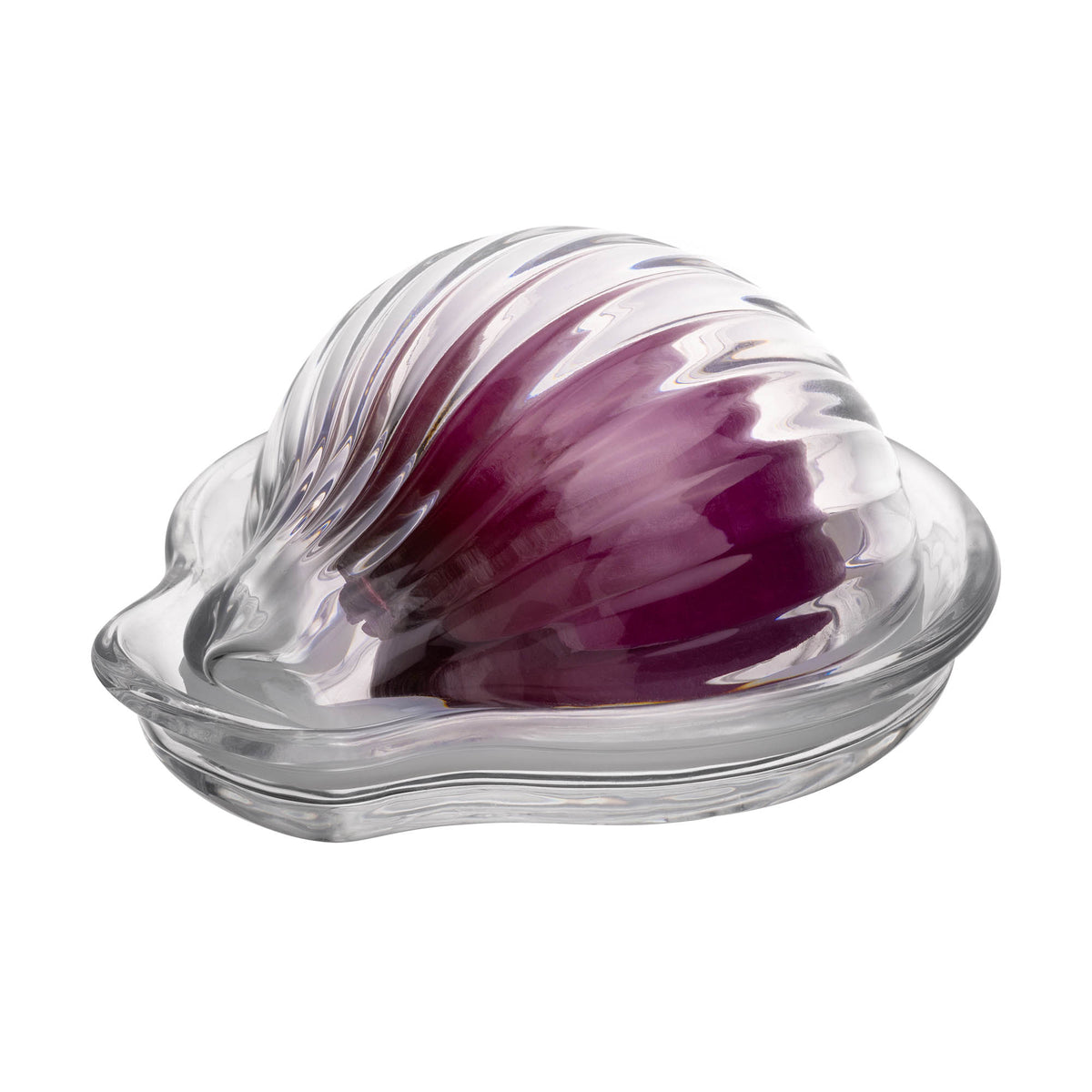 KILNER onion keeper in clear plastic for storing onions, with ventilation holes and secure lid for freshness.
