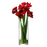 LSA | Vase, COLUMN, glasklar, H50 cm