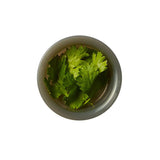 Lunchbox, ORIGINAL, 1 Liter