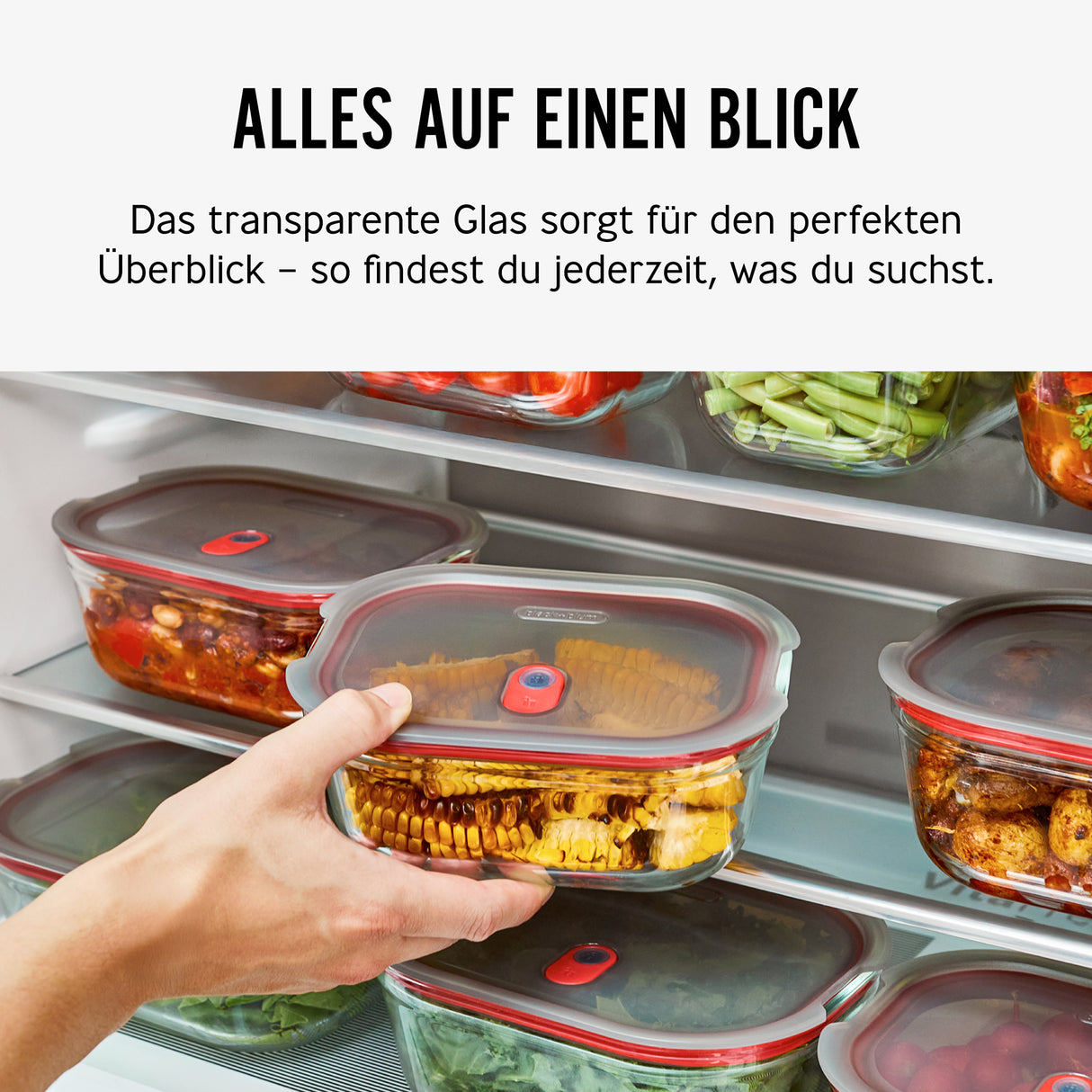 BLACK+BLUM | Multifunktionsdose aus Glas, 5er Set