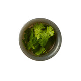 ORIGINAL Lunchbox, 1 L