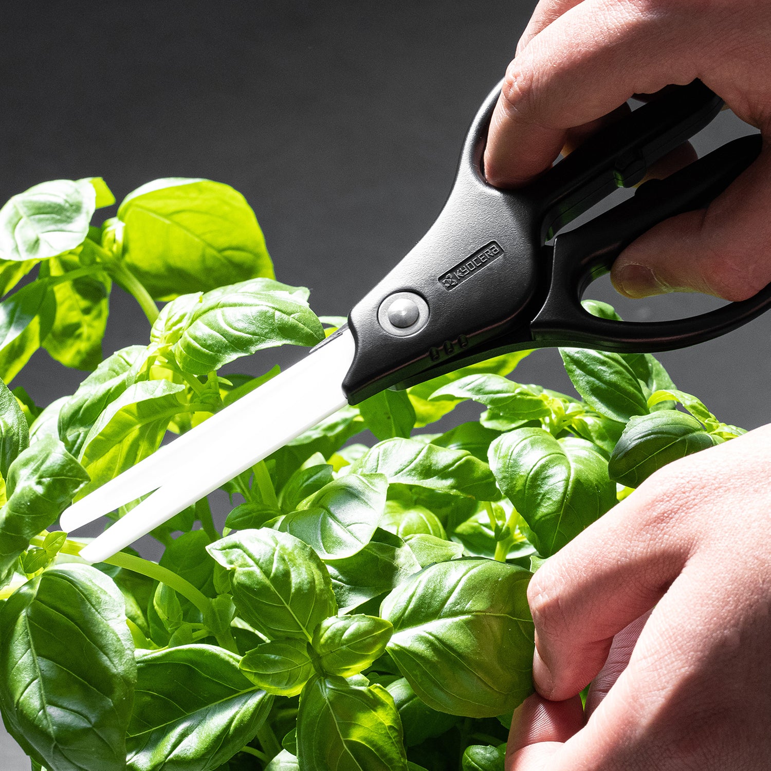 Küchen-Schere mit Keramikklingen - ideal für Kräuter und Lebensmittel