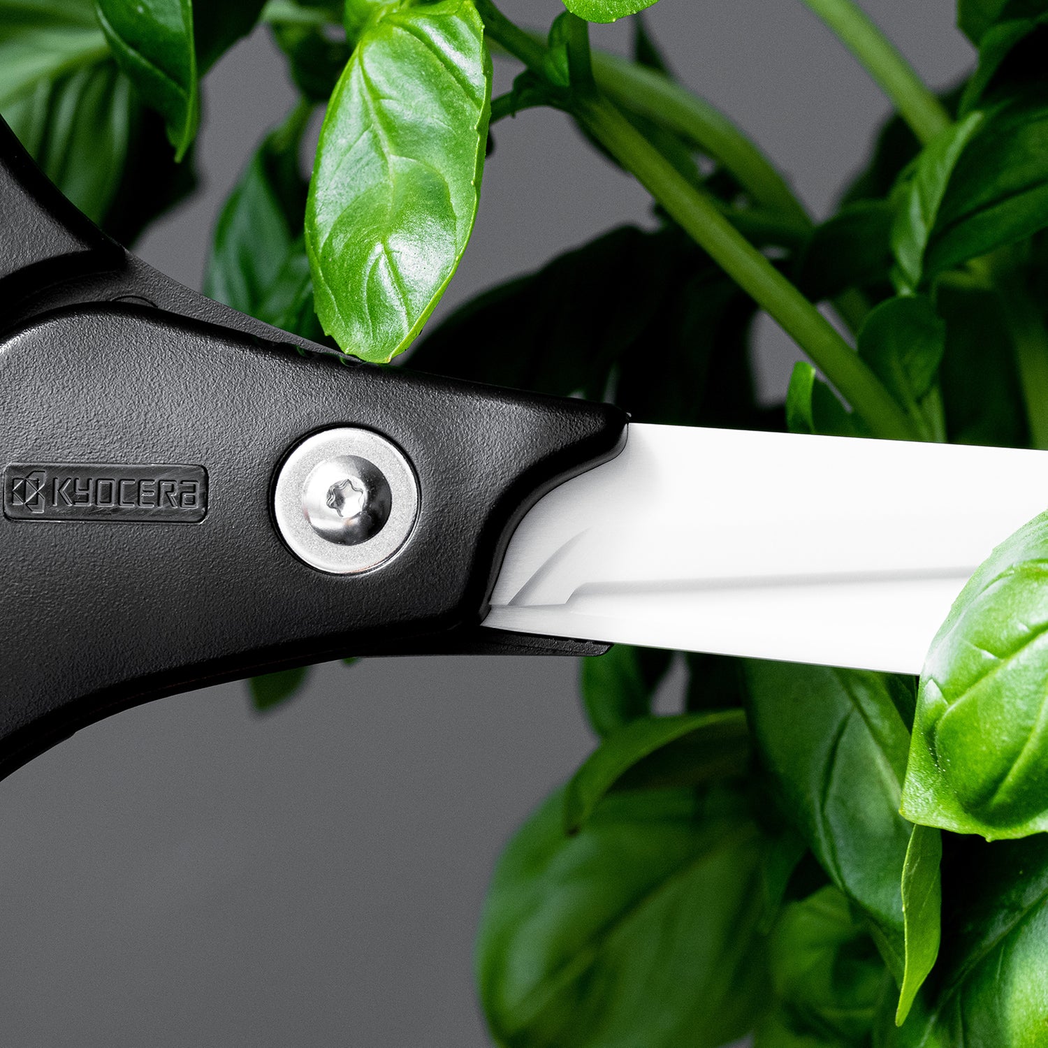 Küchen-Schere mit Keramikklingen - ideal für Kräuter und Lebensmittel