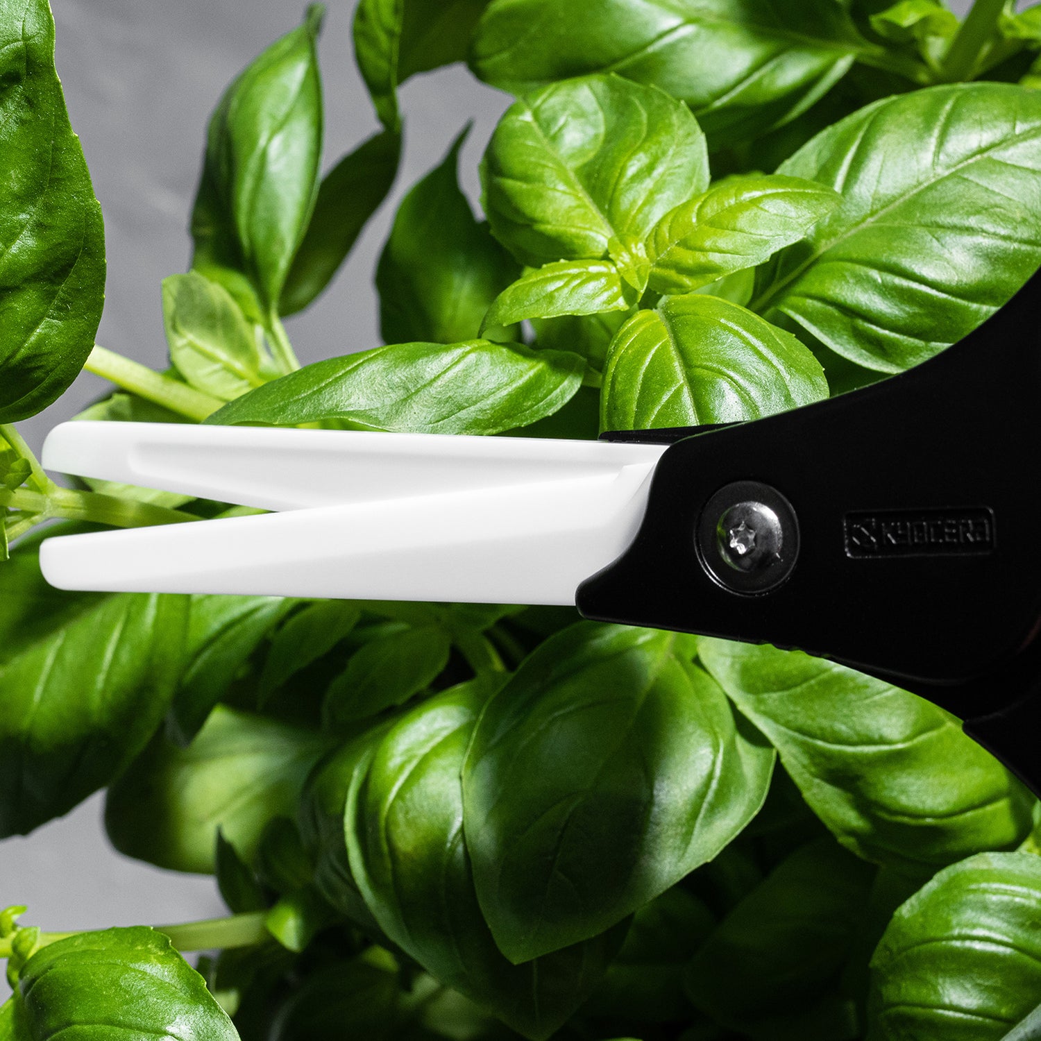 Küchen-Schere mit Keramikklingen - ideal für Kräuter und Lebensmittel