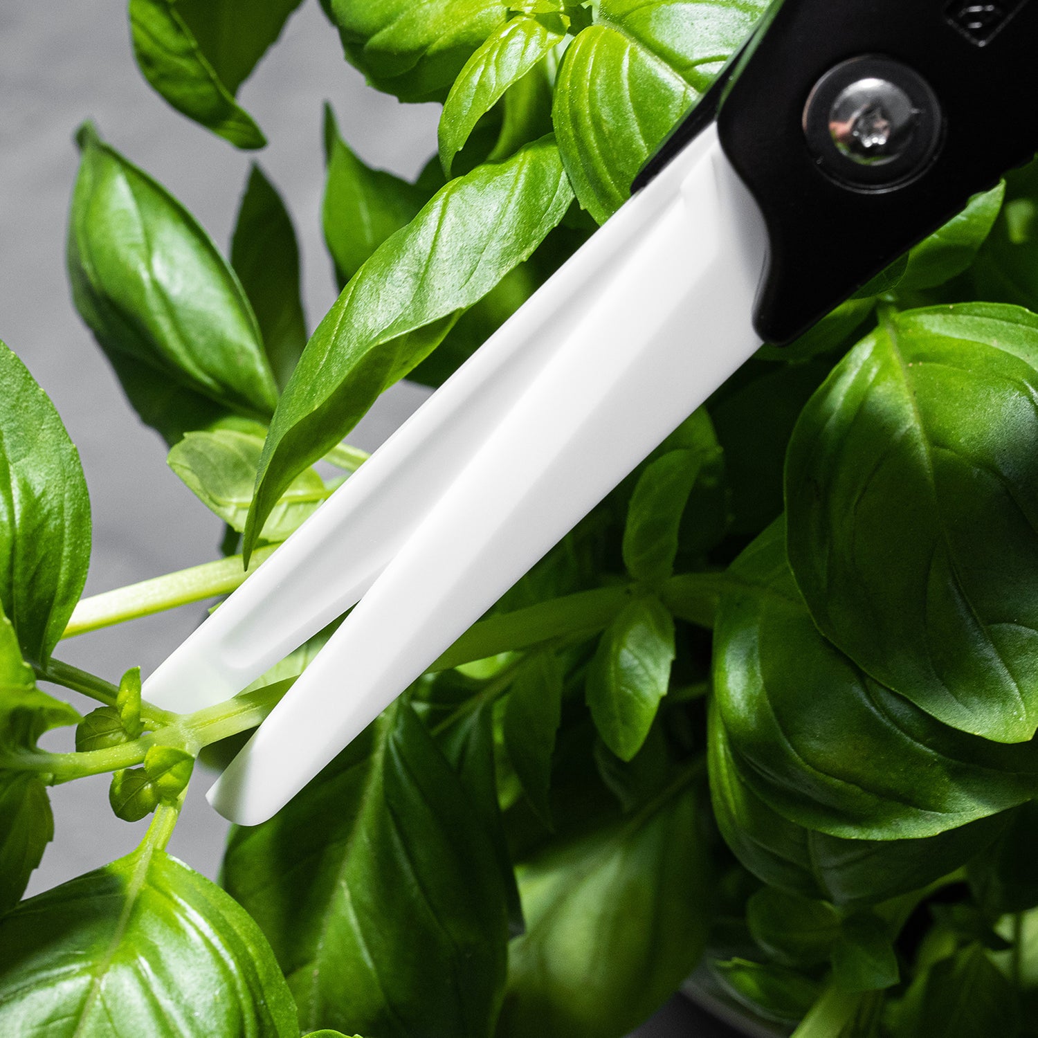 Küchen-Schere mit Keramikklingen - ideal für Kräuter und Lebensmittel