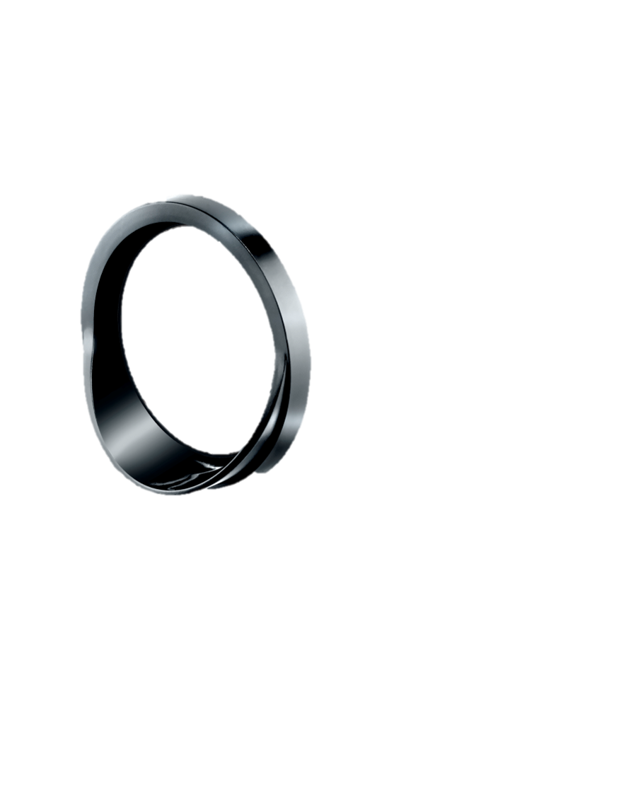 Zusatzteil: Lagerring für Zyliss Trommelreibe (E11368)